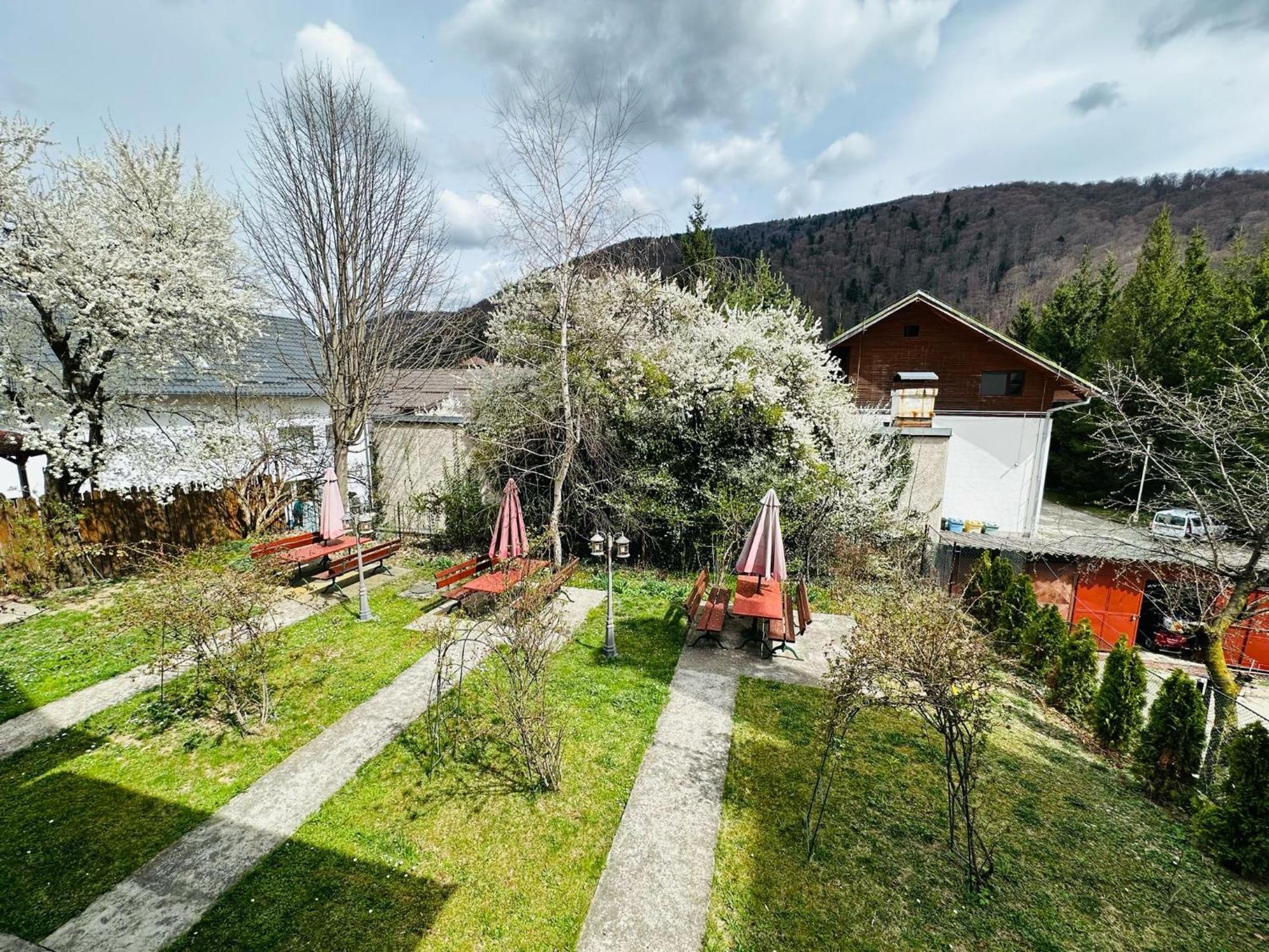 Bed and Breakfast Rapsodia Sinaia Exteriér fotografie